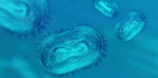 Microscopic view of bacteria in a blue environment