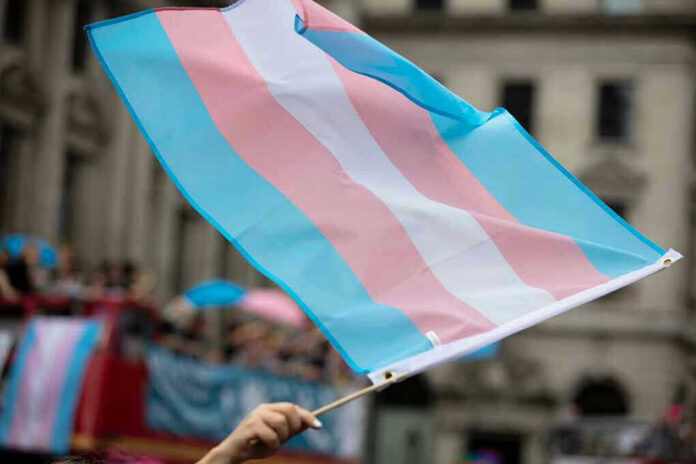 1449773558 Transgender flag waving in a crowded street