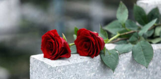 Red roses on a gray stone surface