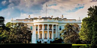 The White House surrounded by greenery and a fountain in the foreground