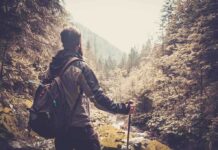 A hiker standing in a forest, looking at a scenic view of mountains and trees
