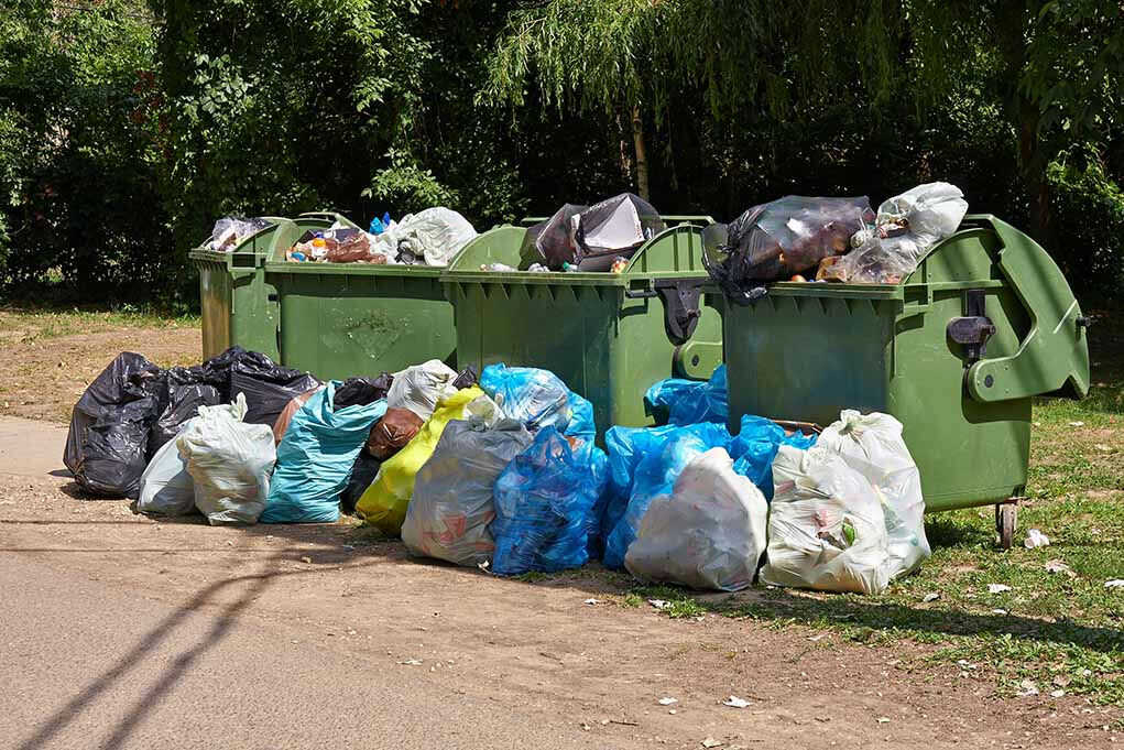 Teenagers’ Chilling Act: Body FOUND in Trash | Bold Front News