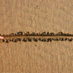 Finger drawing line in wet sand beach