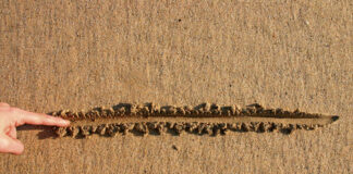 Finger drawing line in wet sand beach