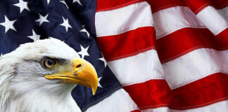 Bald eagle in front of American flag.