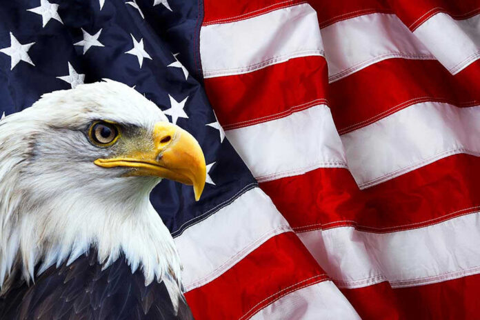 Bald eagle in front of American flag.