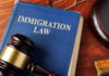 Blue immigration law book with wooden gavel.
