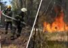Chernobyl is on Fire – And Firefighters are Blocked by Landmines