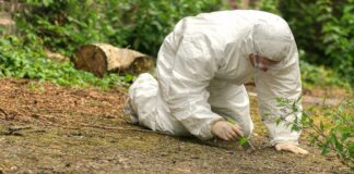 Forensic investigator in a protective suit collecting evidence from the ground