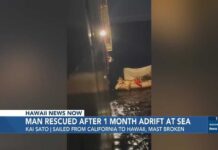 Solo-sail gone wrong: California man survives month at sea drifting to Hawaii