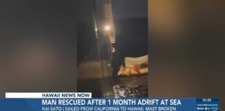 Solo-sail gone wrong: California man survives month at sea drifting to Hawaii