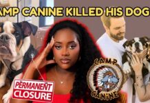 Pet Resort Faces Scrutiny After English Bulldog Found Dead in Pool Dog Drowns at Camp Canine: What Bruce's Family in Santa Barbara Says Happened | FULL BREAKDOWN | wtf