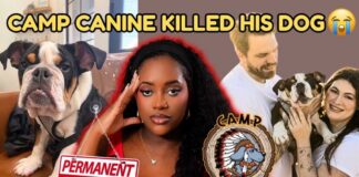 Dog Drowns at Camp Canine: What Bruce's Family in Santa Barbara Says Happened | FULL BREAKDOWN | wtf