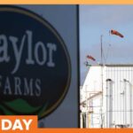 Taylor Farms Lettuce Test for Cyclospora Was False Positive: FDA