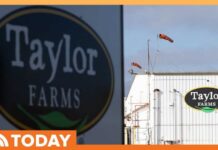 Taylor Farms Lettuce Test for Cyclospora Was False Positive: FDA