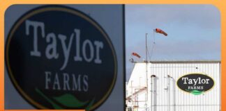 Taylor Farms Lettuce Test for Cyclospora Was False Positive: FDA