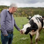 Man petting a black-and-white cow in a grassy field