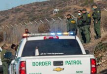 Rescue Dog Turns Into a Hero for First Responders Border Patrol agents gather near fence with patrol trucks